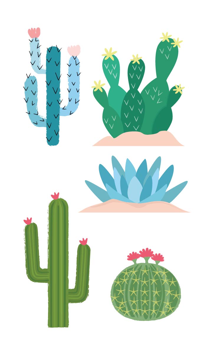 Tatuagem 5 x 9 cm para crianças Cactus