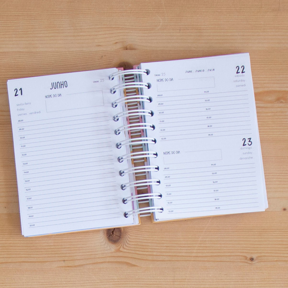 Agenda A6 Diária 2024 Capa Dura PASTEL STRIPES Blue