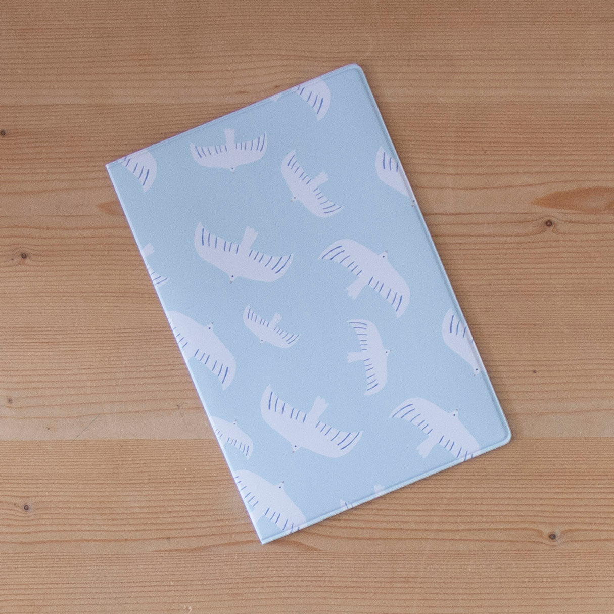 Capa de Boletim Birds