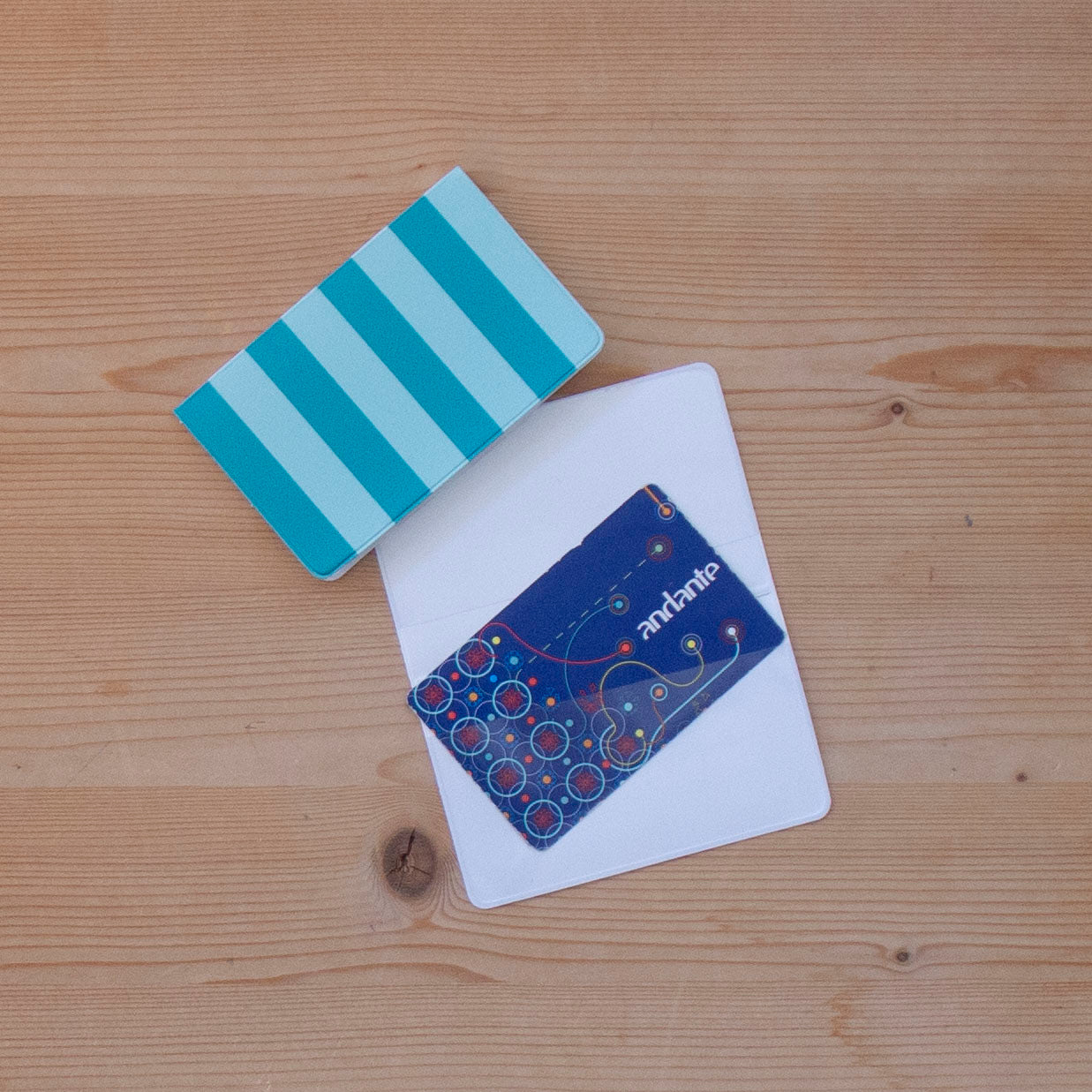 Porta Cartões Napa 6 x 9 cm GOIABA STRIPES