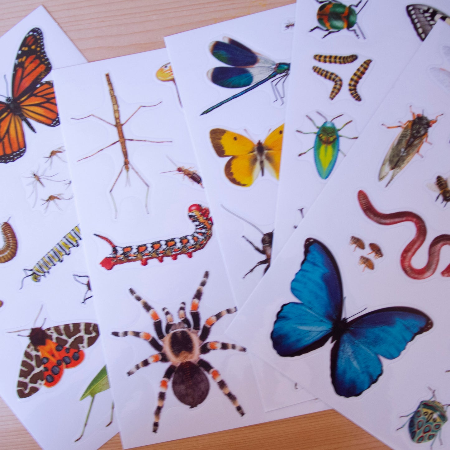 Stickers A5 Removíveis Borboletas (+ de 50)