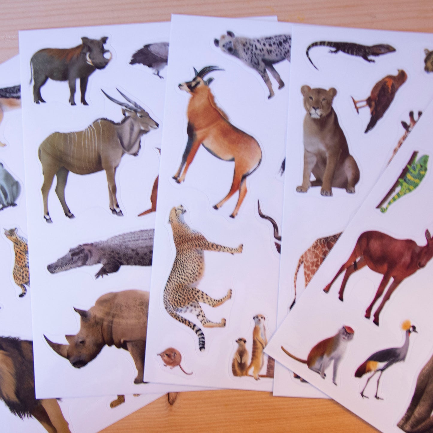 Stickers A5 Removíveis Selva (+ de 50)