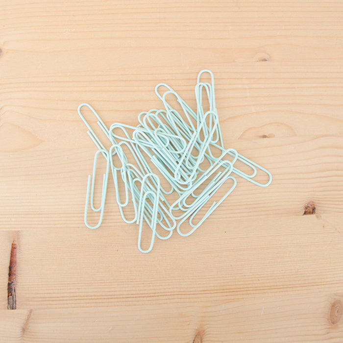 Kit 25 Clips Grandes 50mm Menta