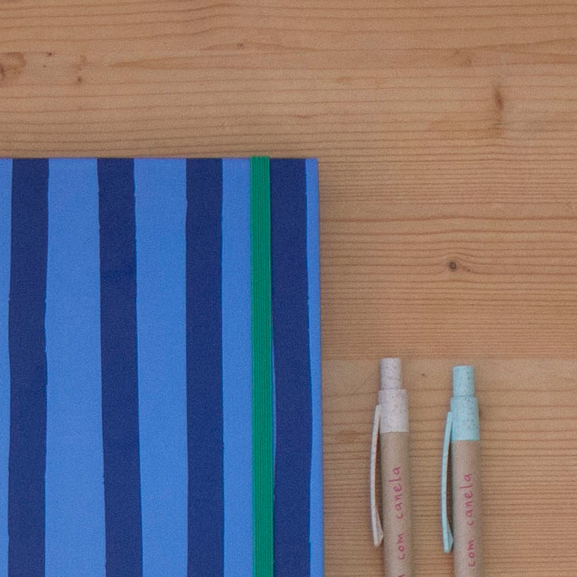 Caderno 17 x 24,5 cm (PAUTADO) BLUE STRIPES