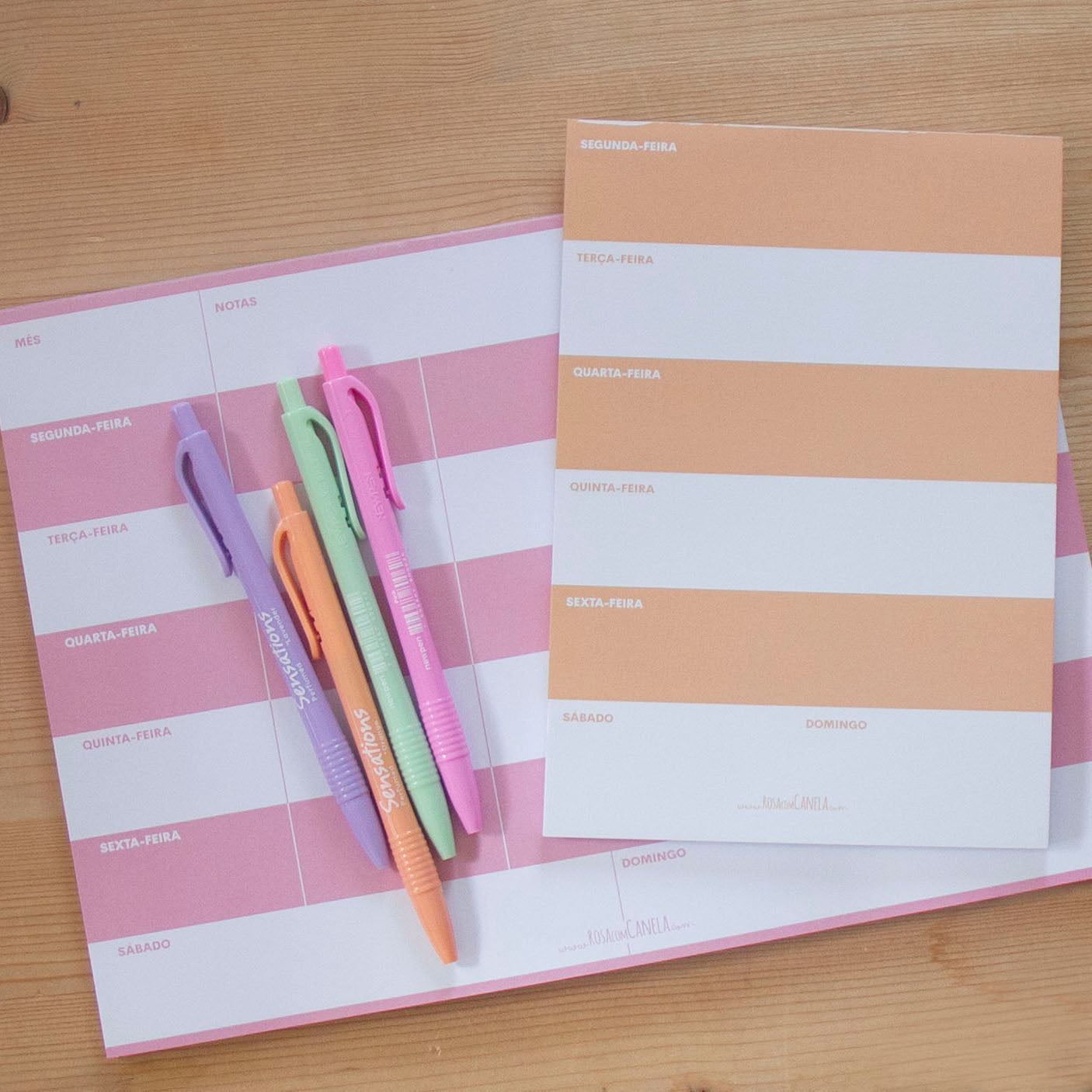 Kit Canetas e Planners Rosa/Laranja