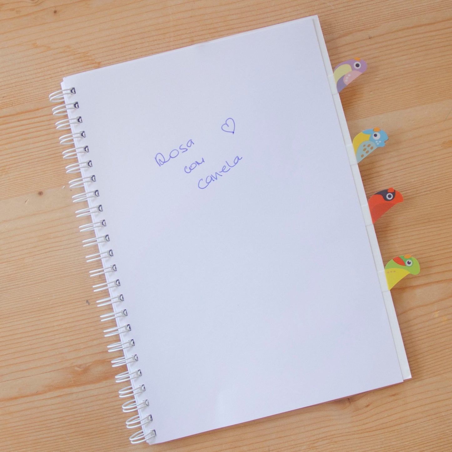 Kit 4 Marcadores de Página (80 un) BIRDS