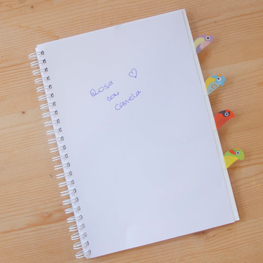 Kit 4 Marcadores de Página (80 un) BIRDS