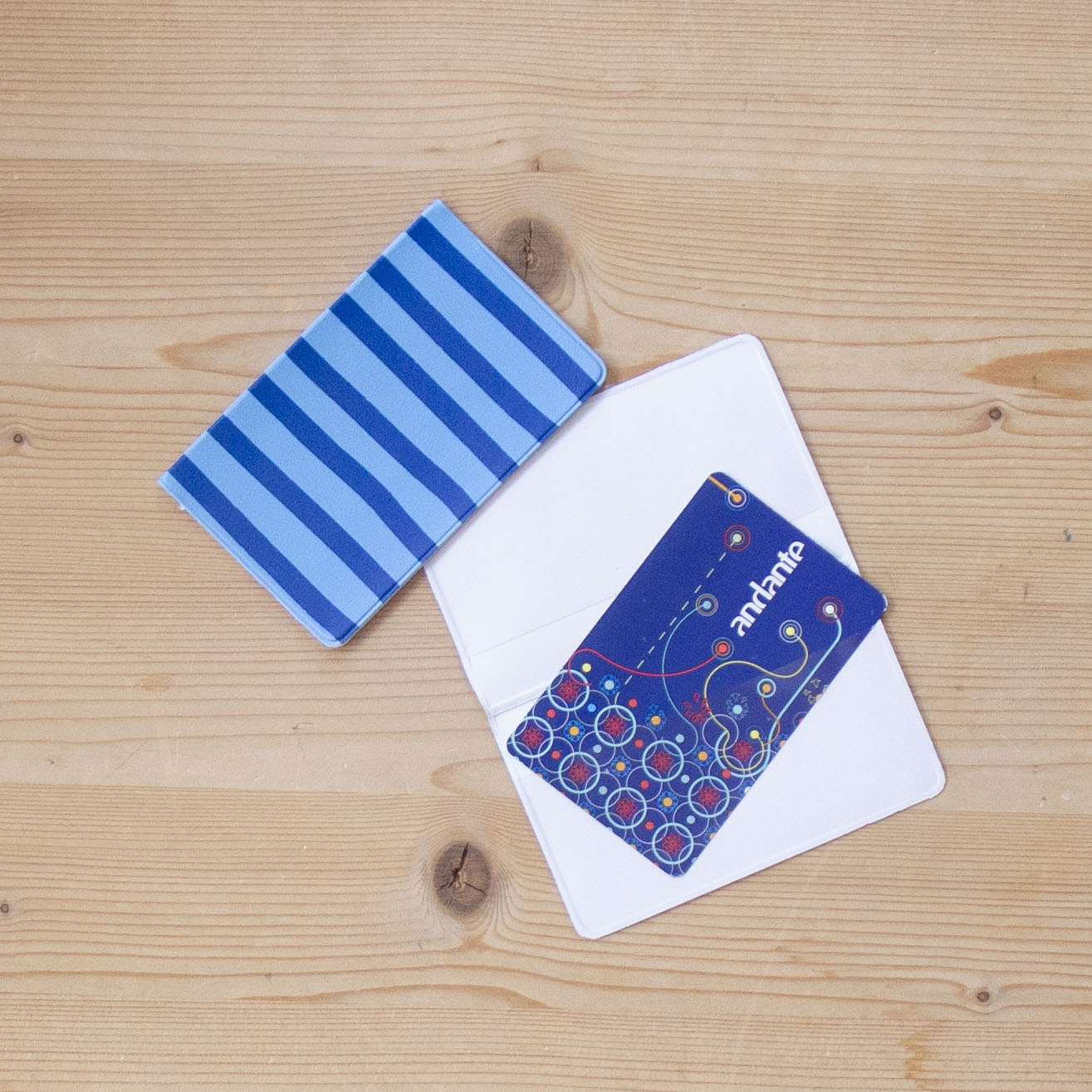 Porta Cartões Napa 6 x 9 cm BLUE STRIPES